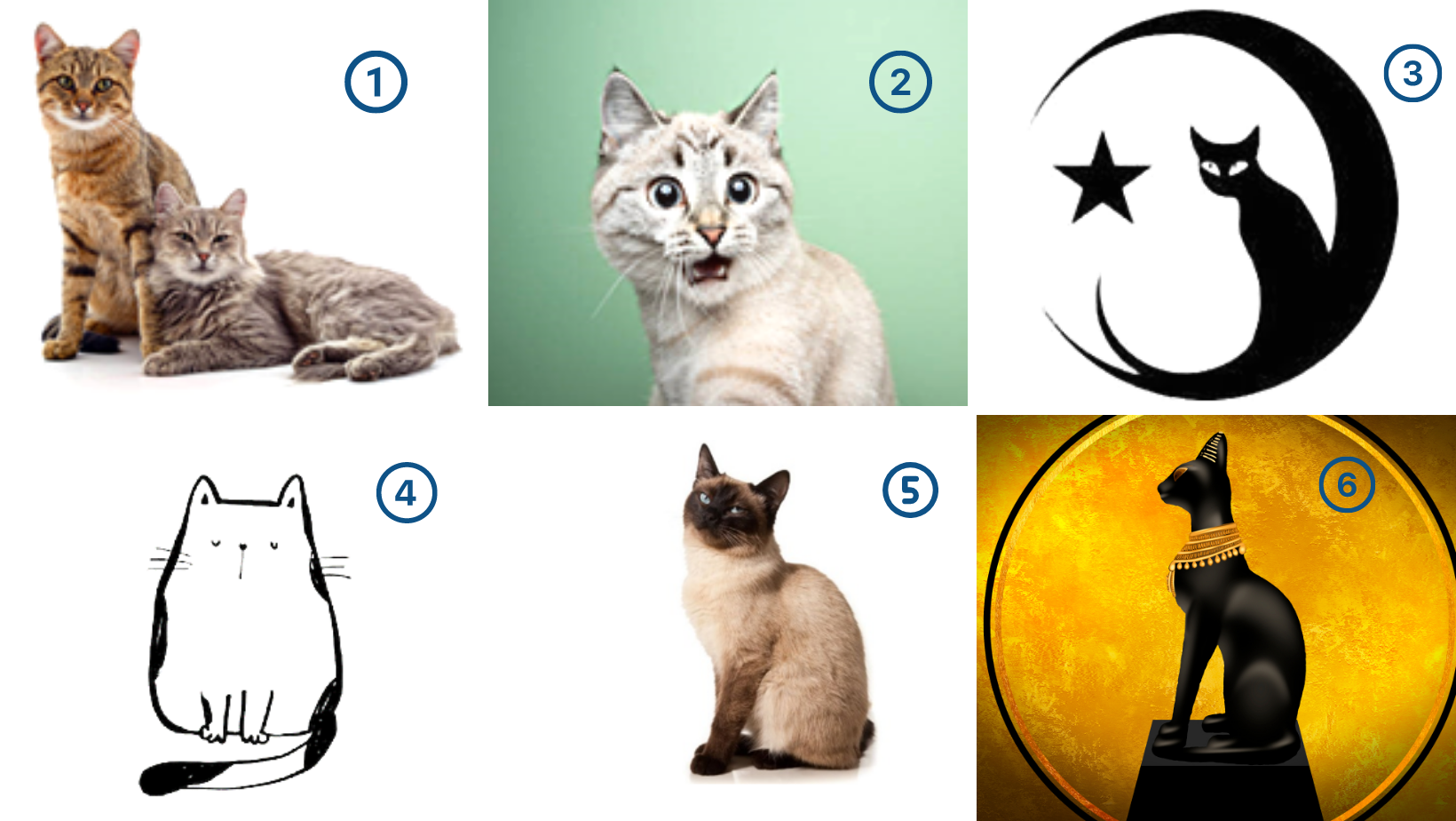 trac-nghiem-tinh-cach